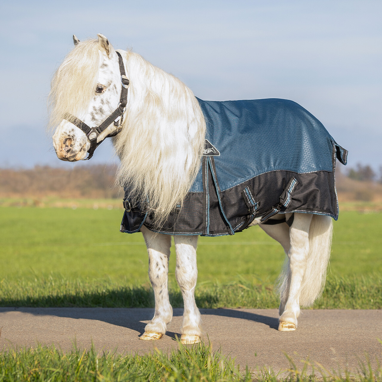 Turnout rug 1200D collection falabella 50gr