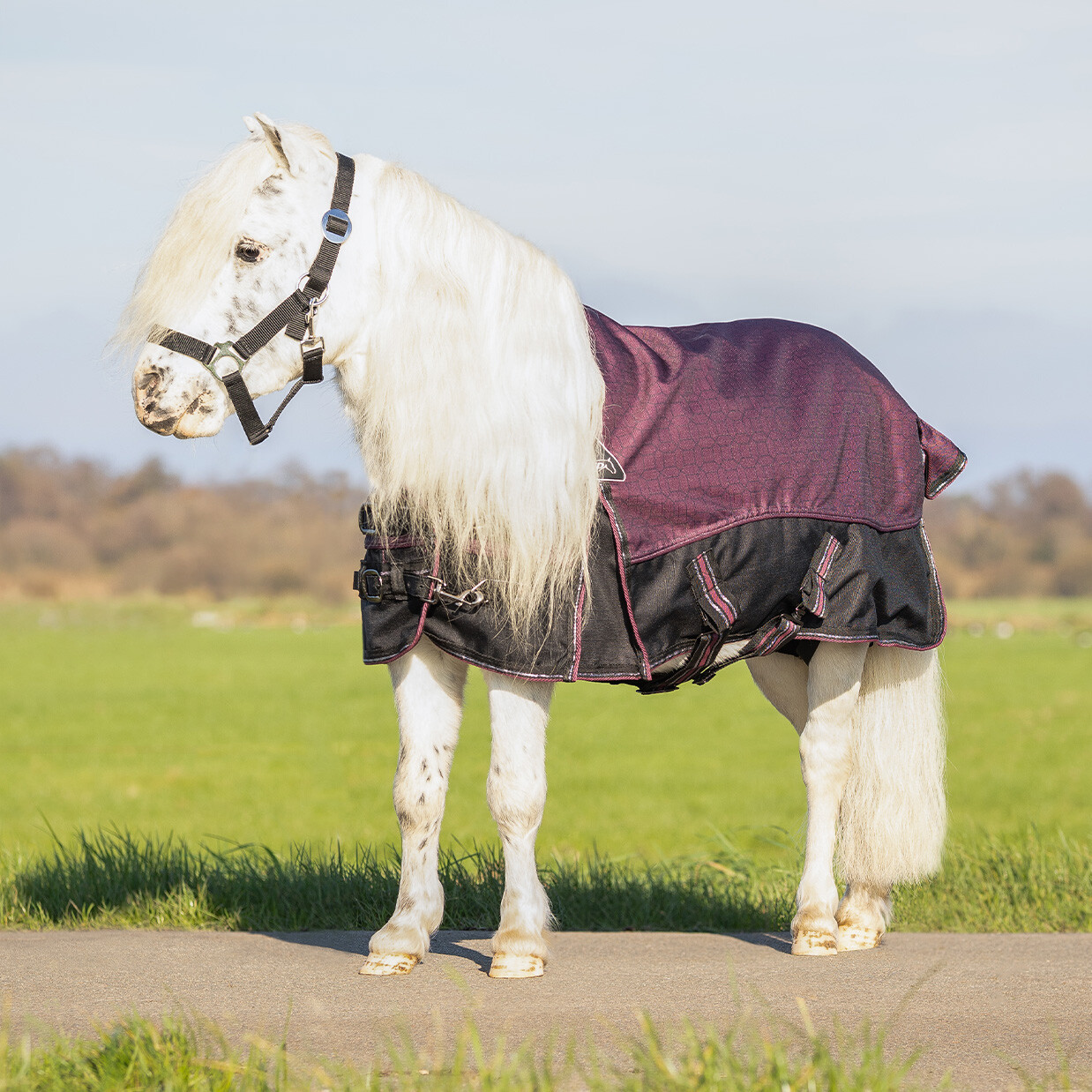 Turnout rug 1200D collection falabella 50gr