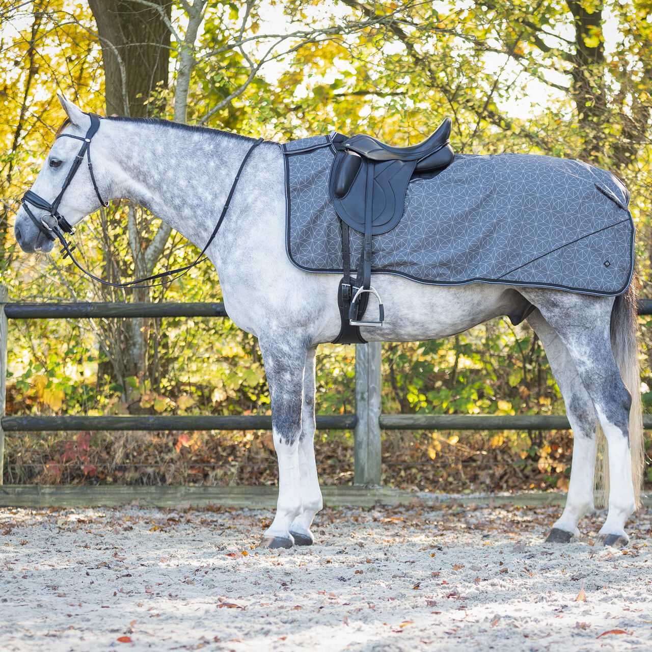 Exercise sheet 1200D turnout collection fleece