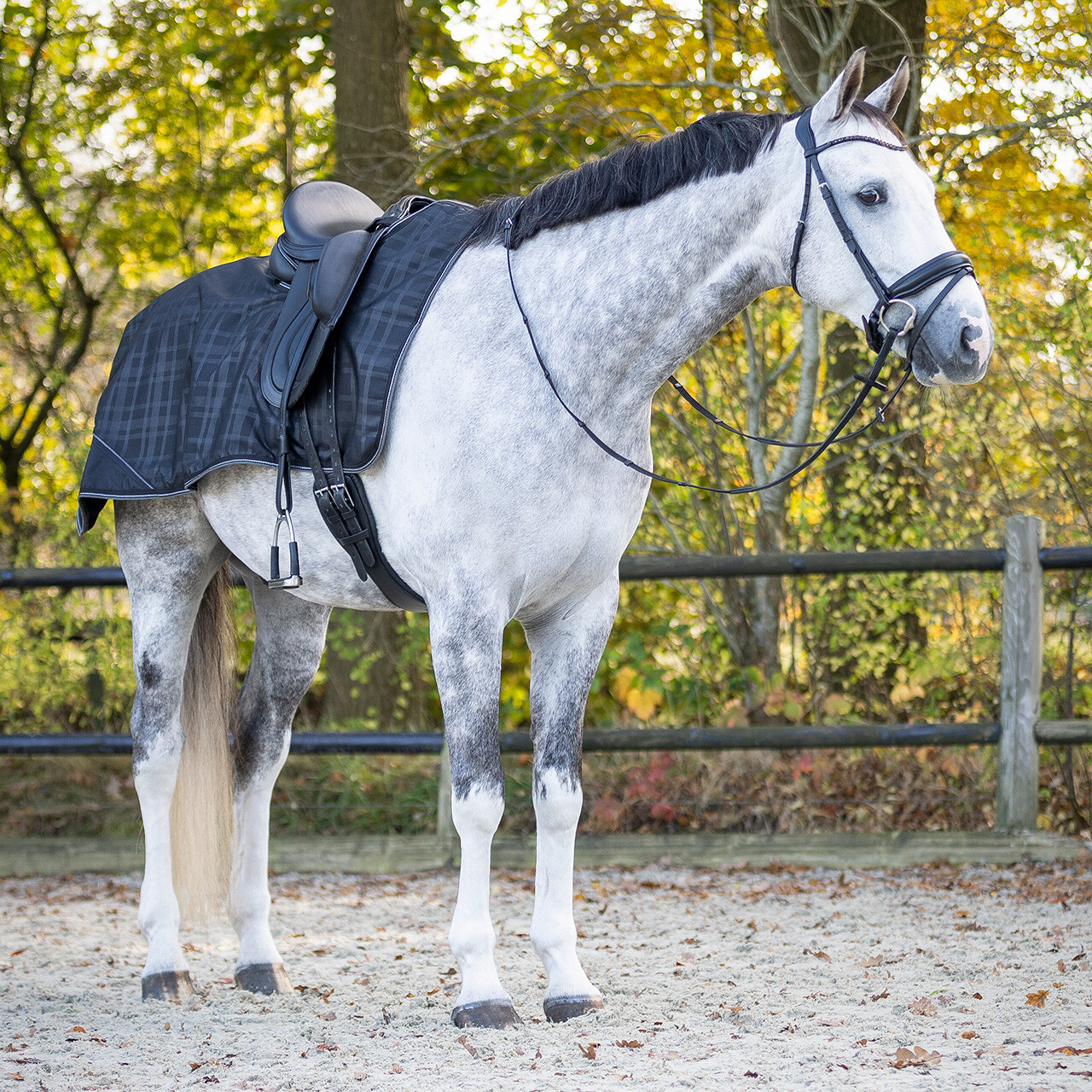 Exercise sheet 1200D turnout collection fleece