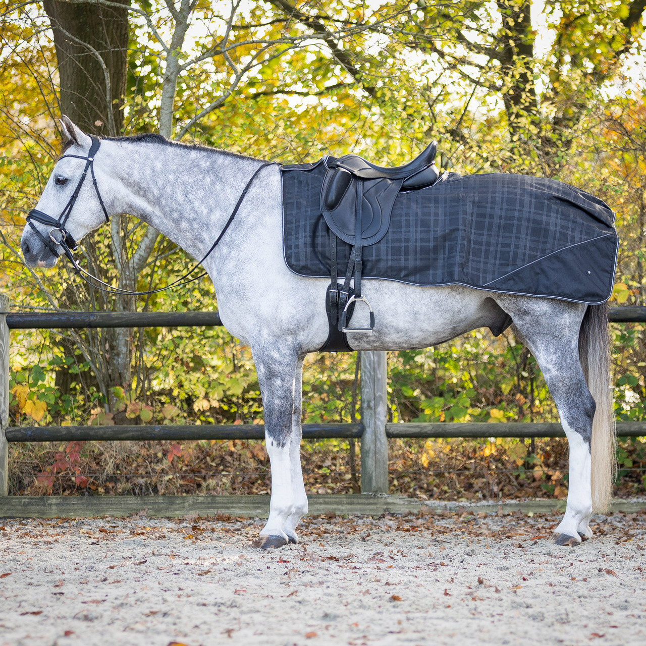Exercise sheet 1200D turnout collection fleece