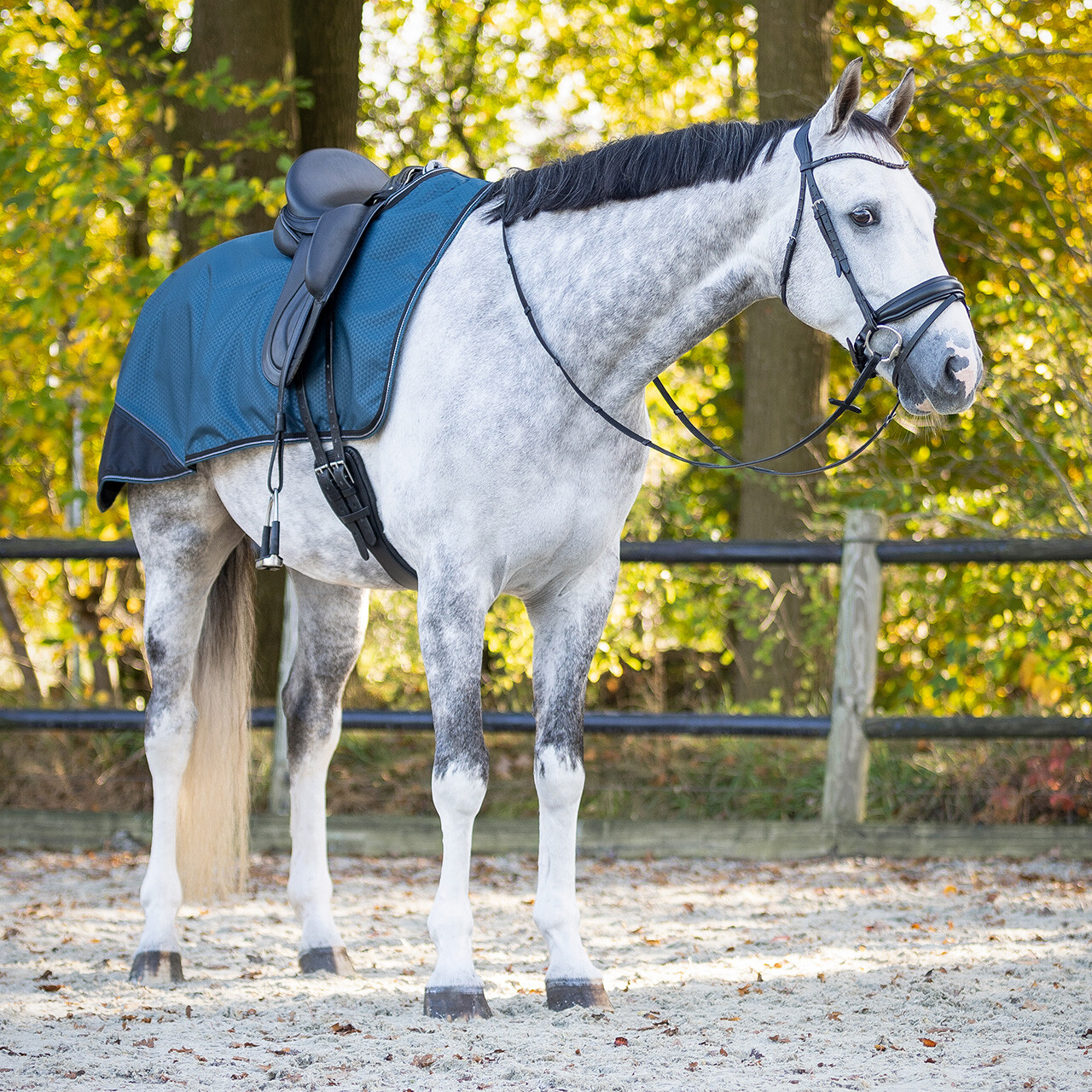 Exercise sheet 1200D turnout collection fleece