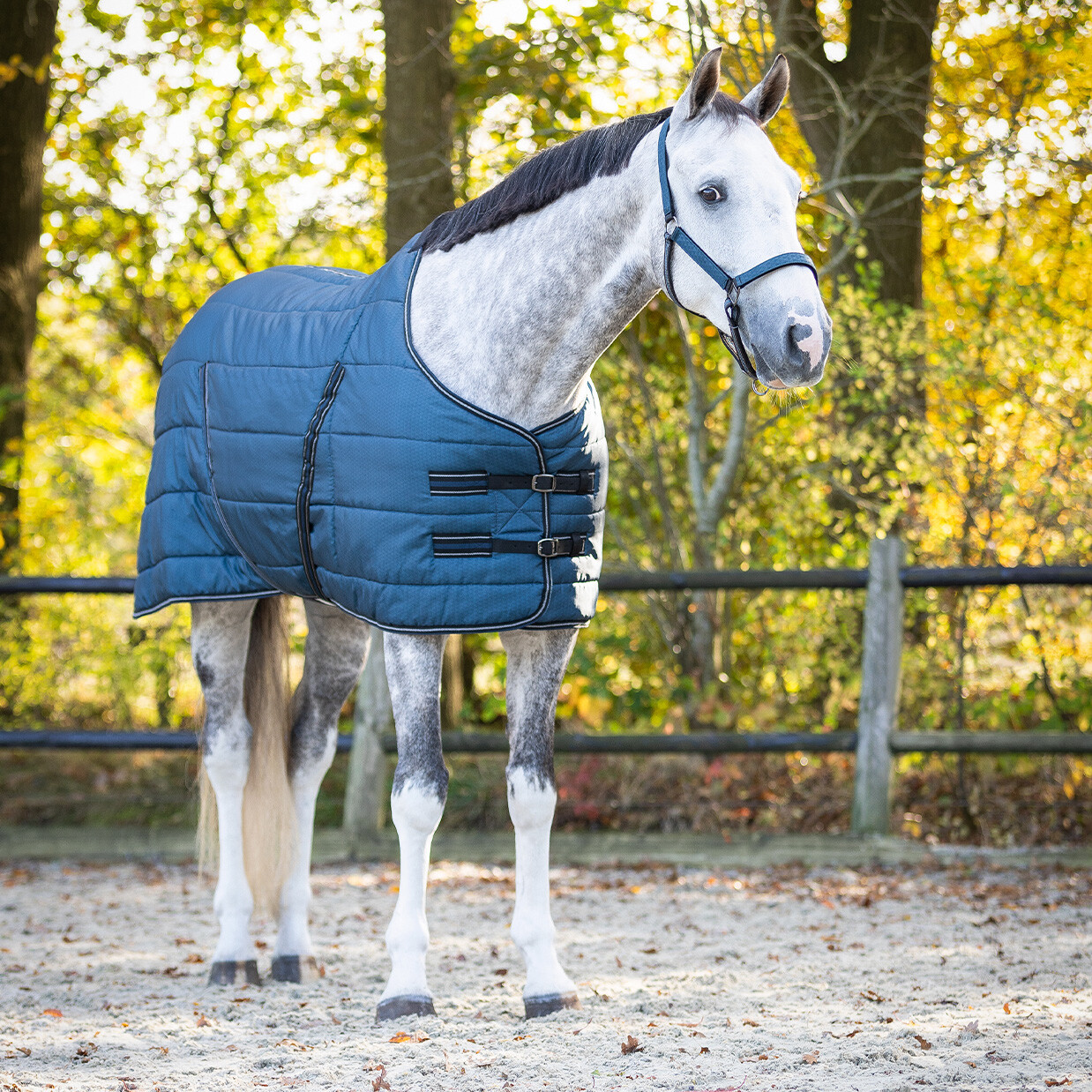 Stable rug start collection 200gr