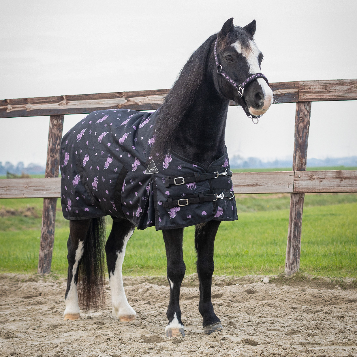 Turnout rug Lize 100gr