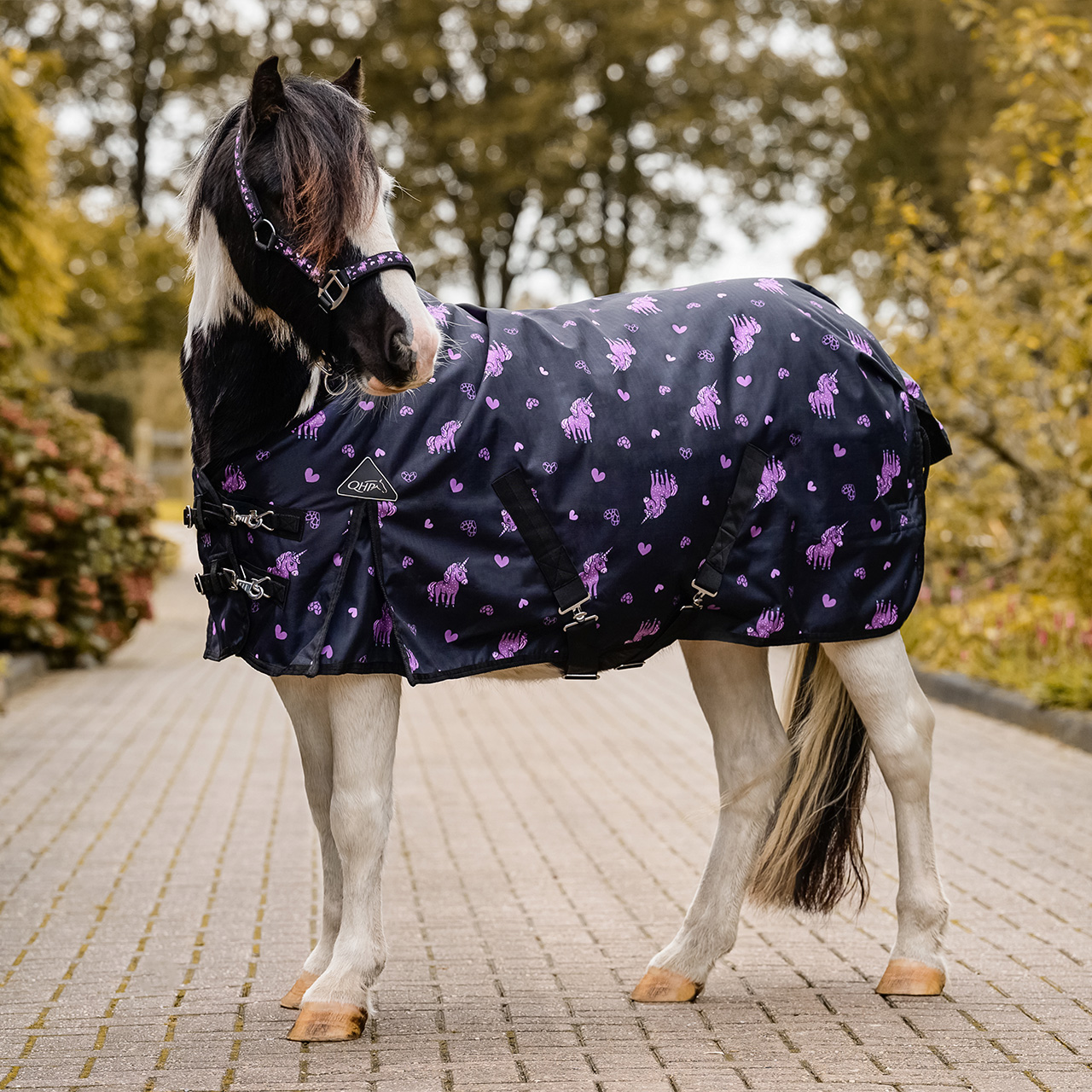 Turnout rug Lize 100gr