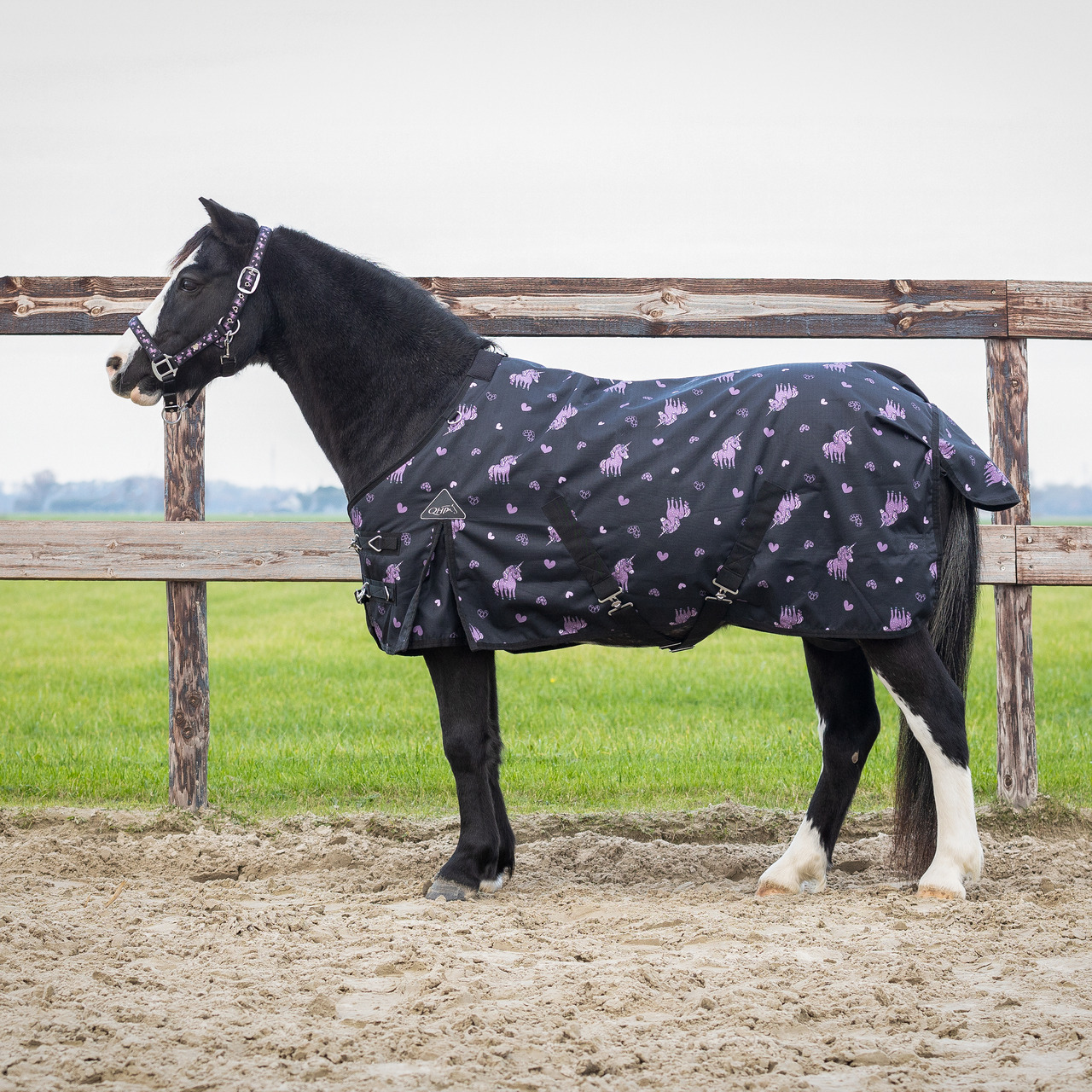 Turnout rug Lize 100gr