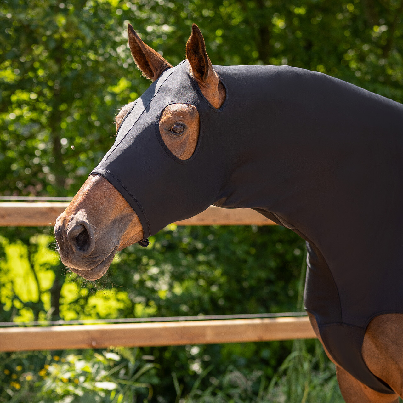 Elastic neckprotector with zipper