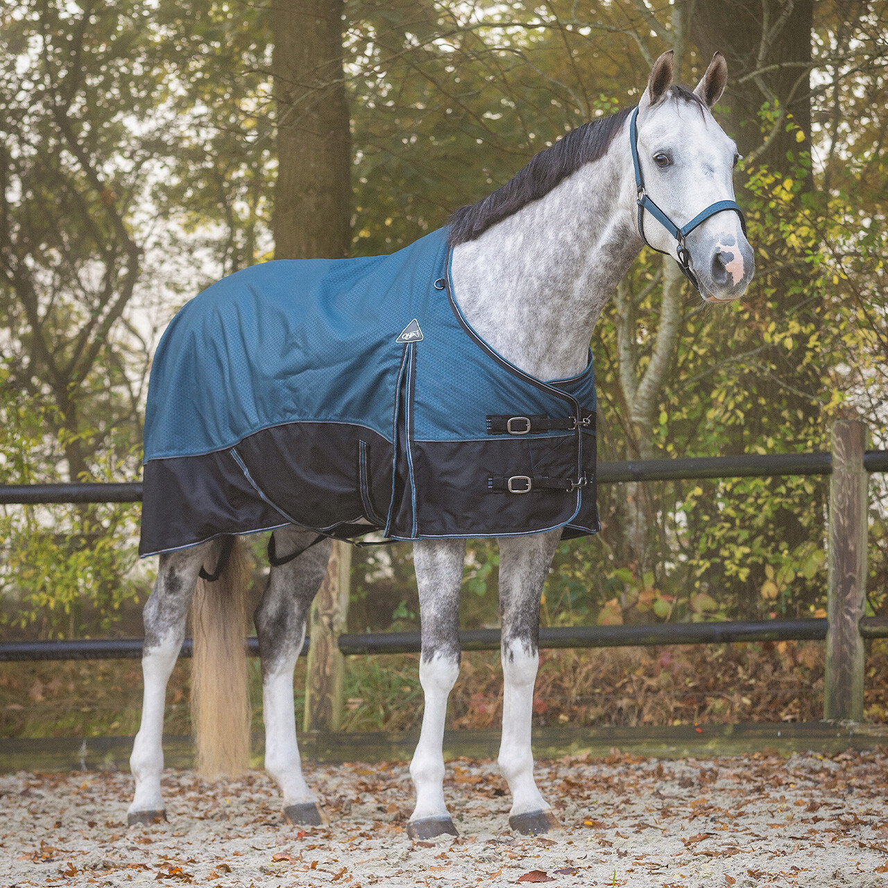 Turnout rug 1200D collection 300gr