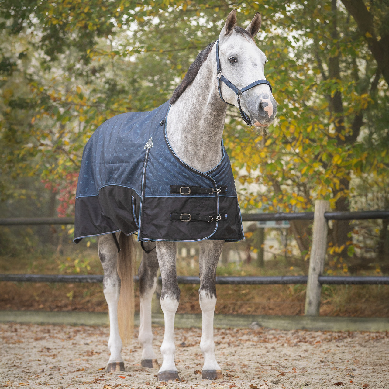 Turnout rug 1200D collection 300gr