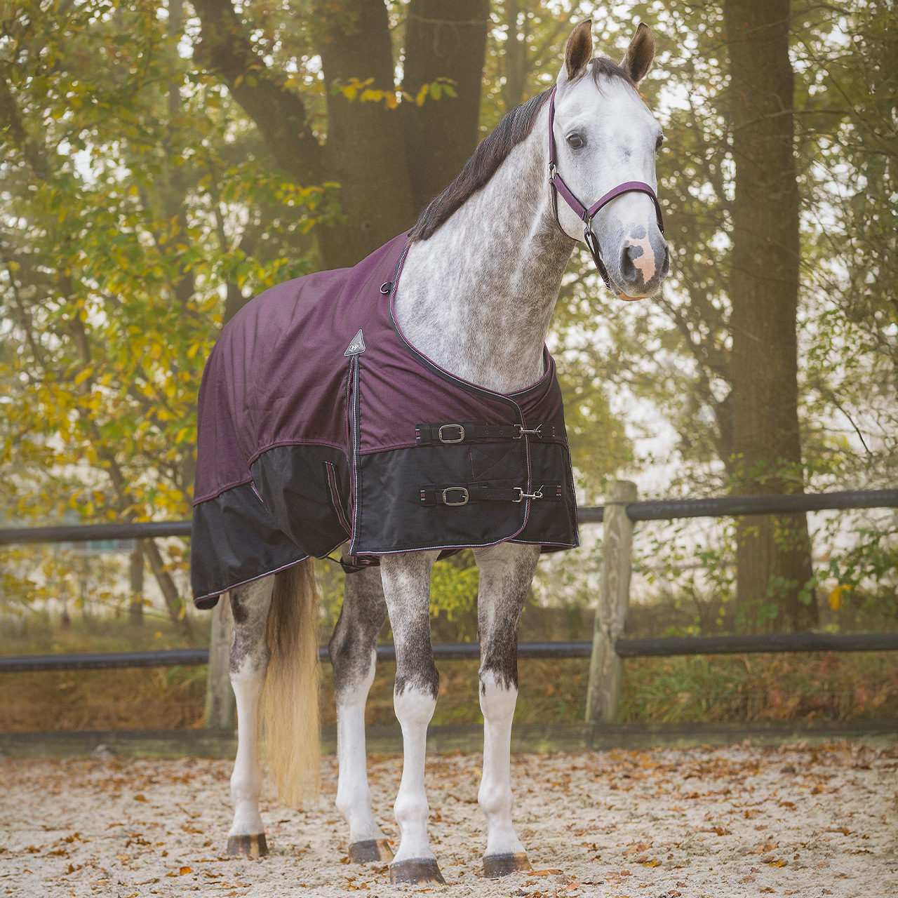 Turnout rug 1200D collection 300gr