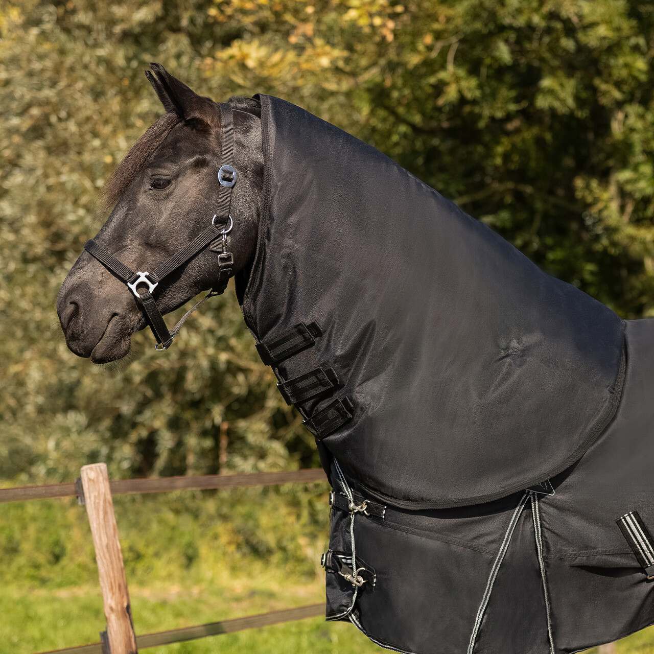 Neck turnout Big neck 150gr