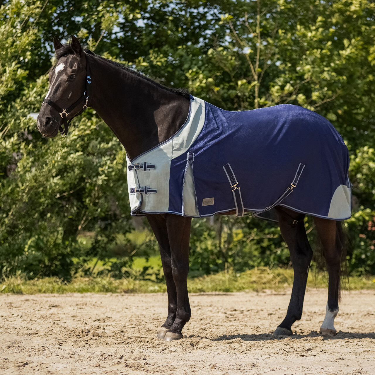 Fly rug