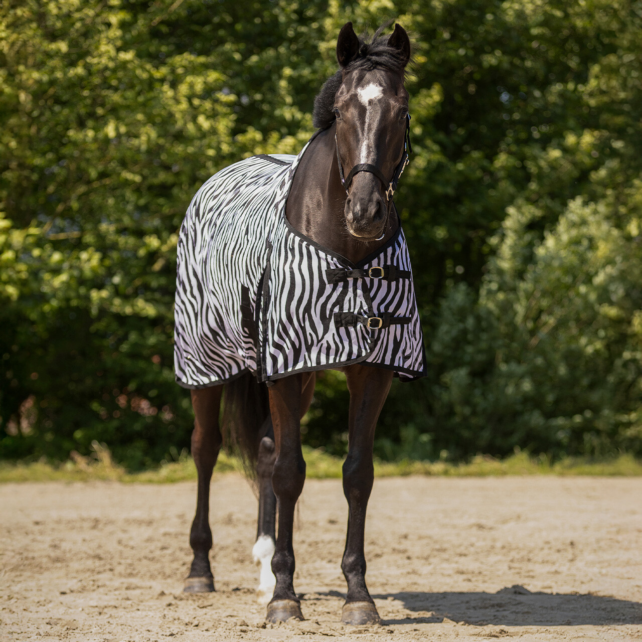 Fly rug