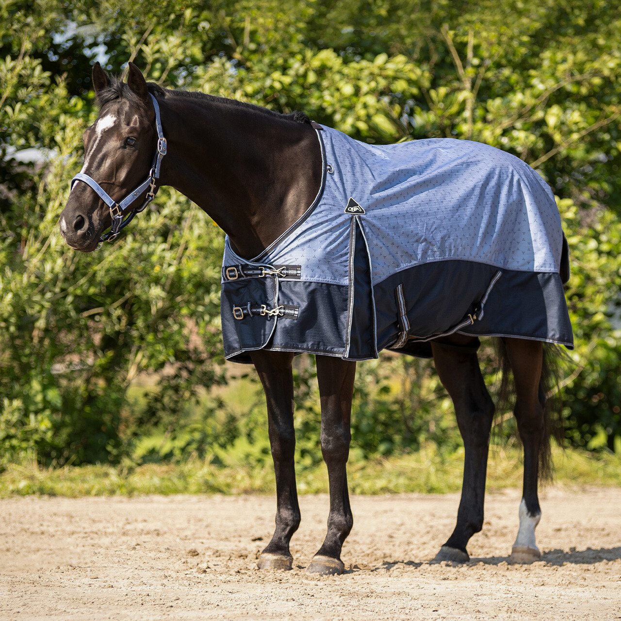 Turnout rug collection 0gr