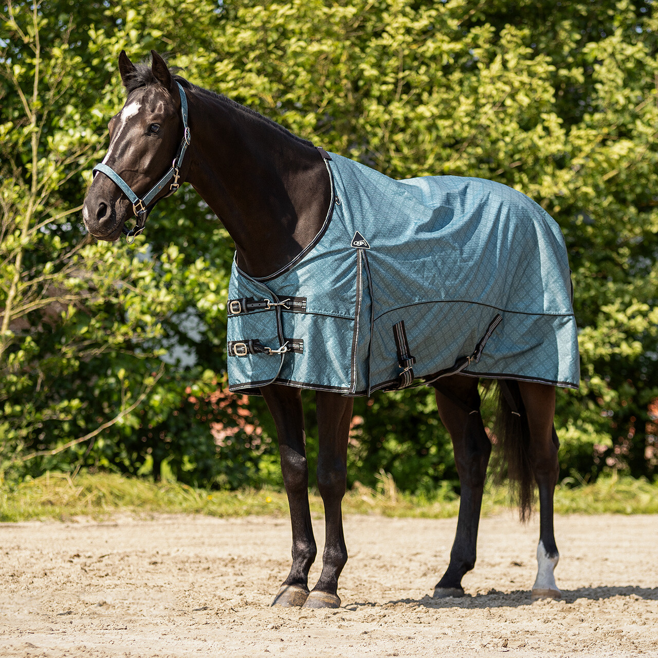 Turnout rug collection 0gr