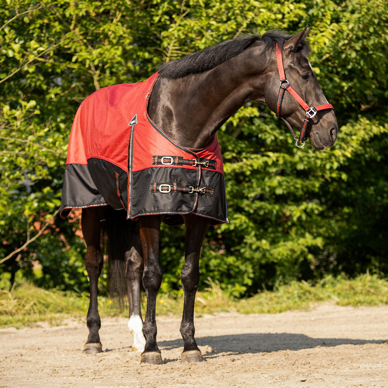 Turnout rug collection 0gr