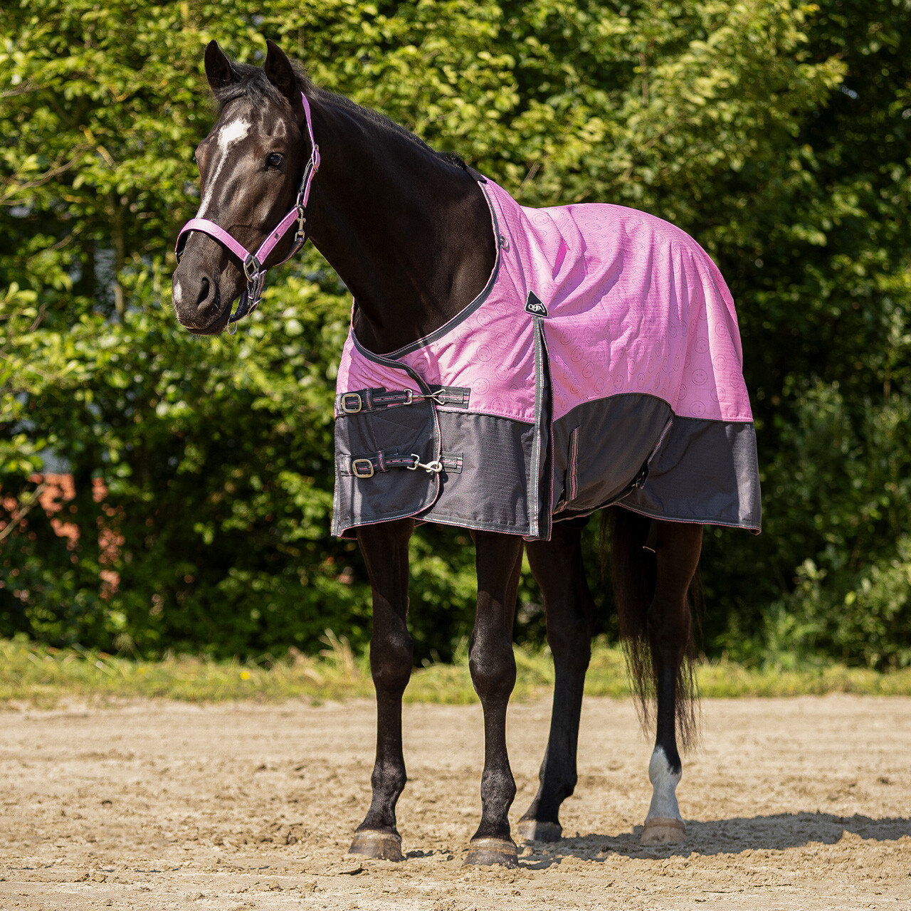 Turnout rug collection fleece lining