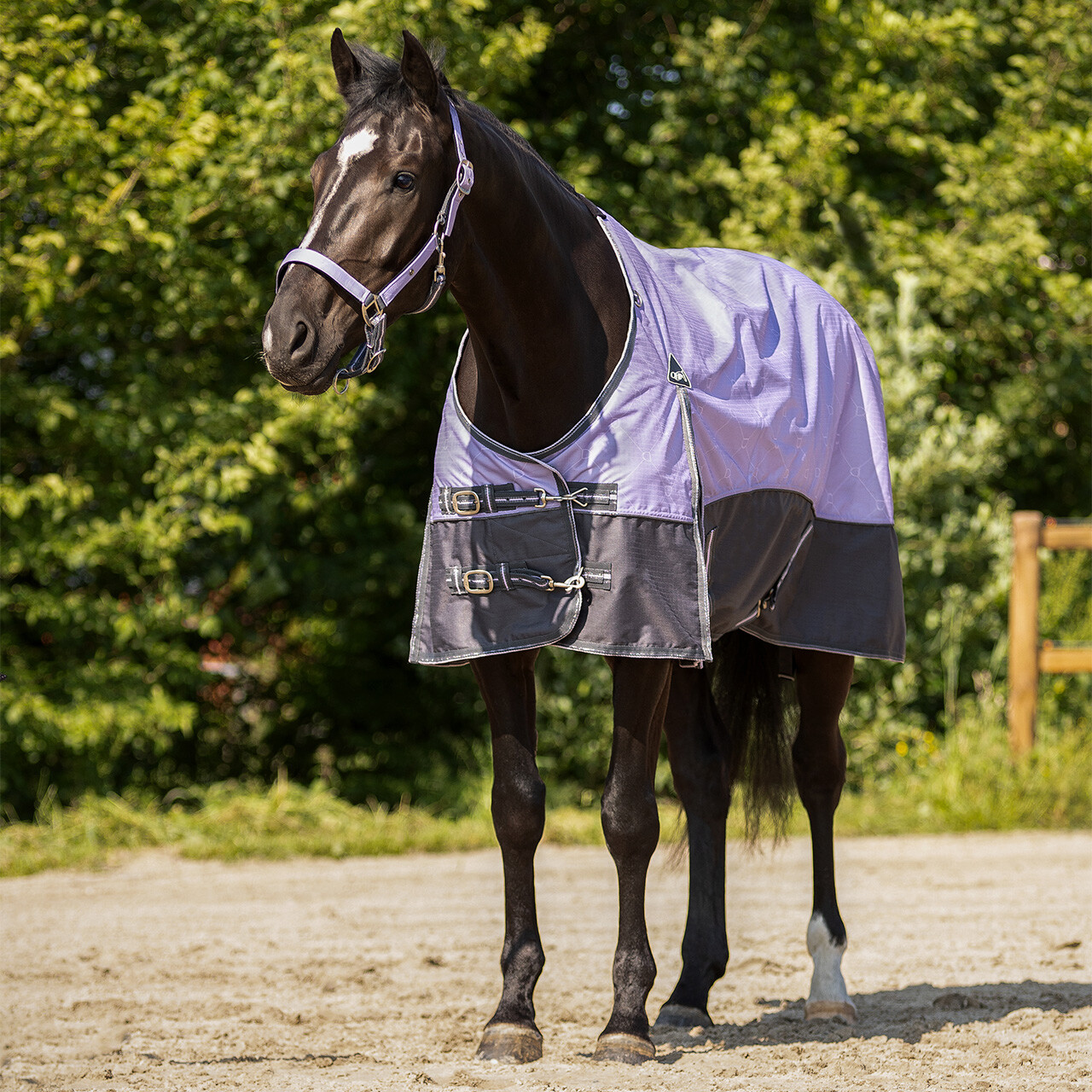Turnout rug collection fleece lining