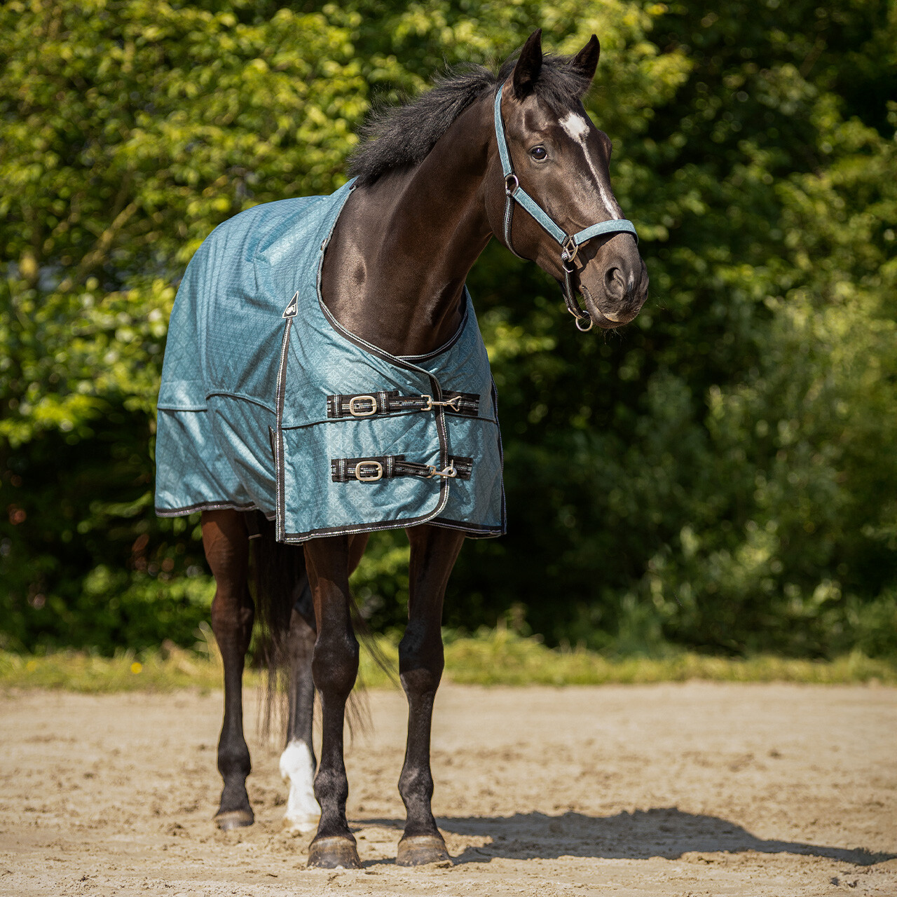 Turnout rug collection fleece lining