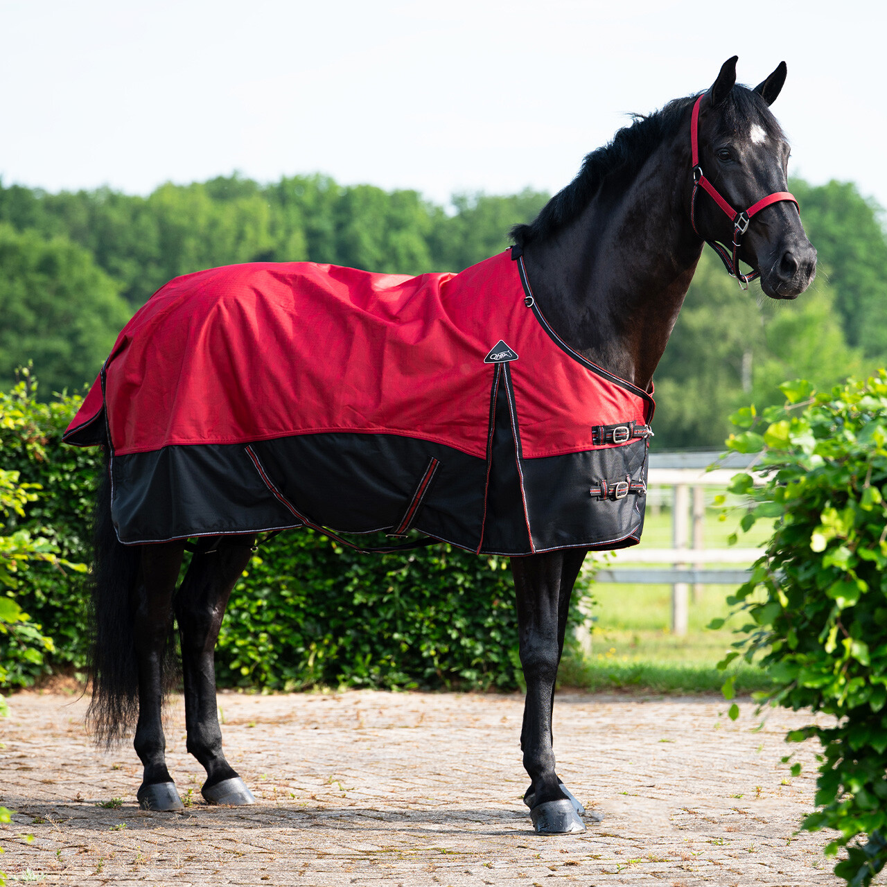 Turnout rug collection fleece lining