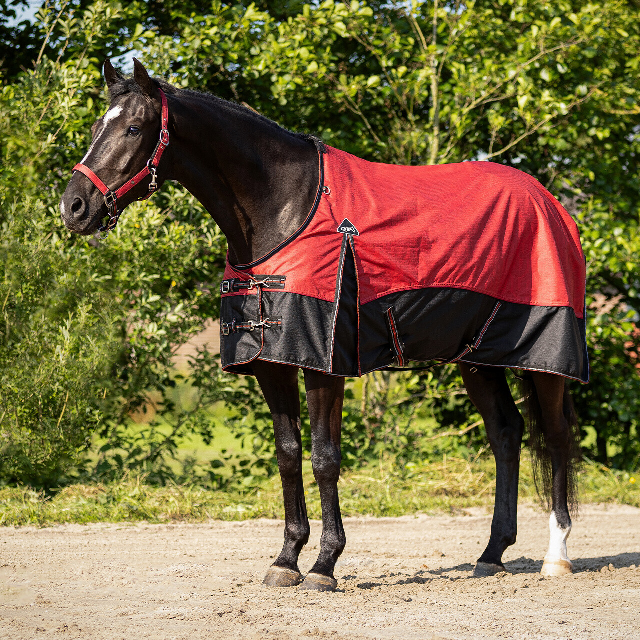 Turnout rug collection fleece lining