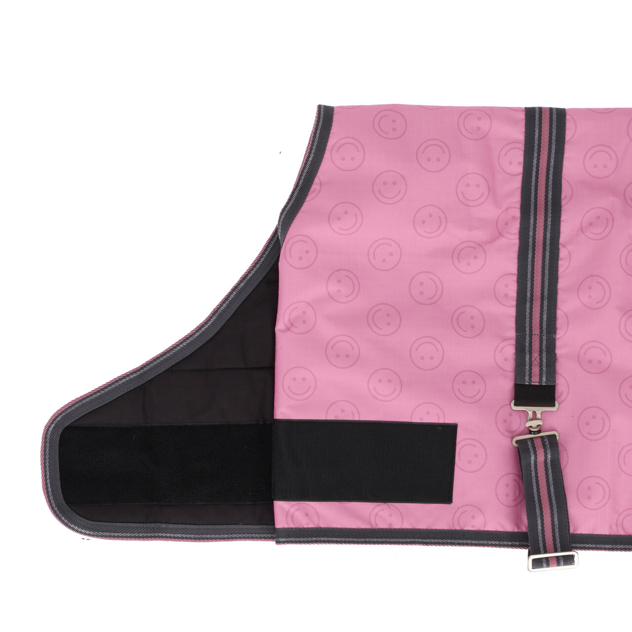 Foal rug turnout collection