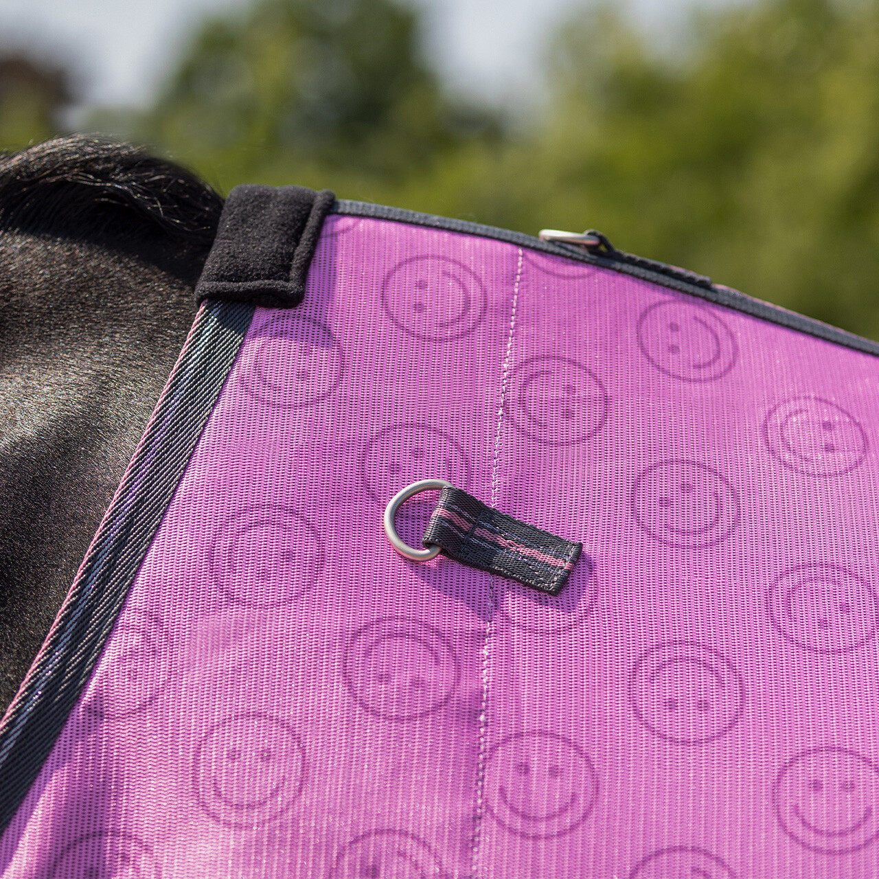 Fly sheet collection with neck & hood