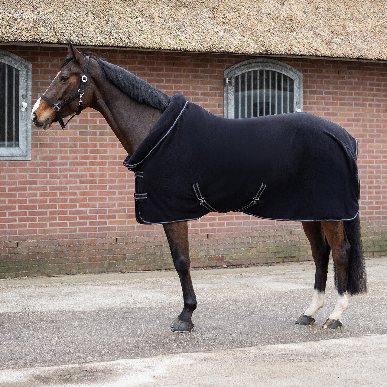 Fleece rug Terry-dry