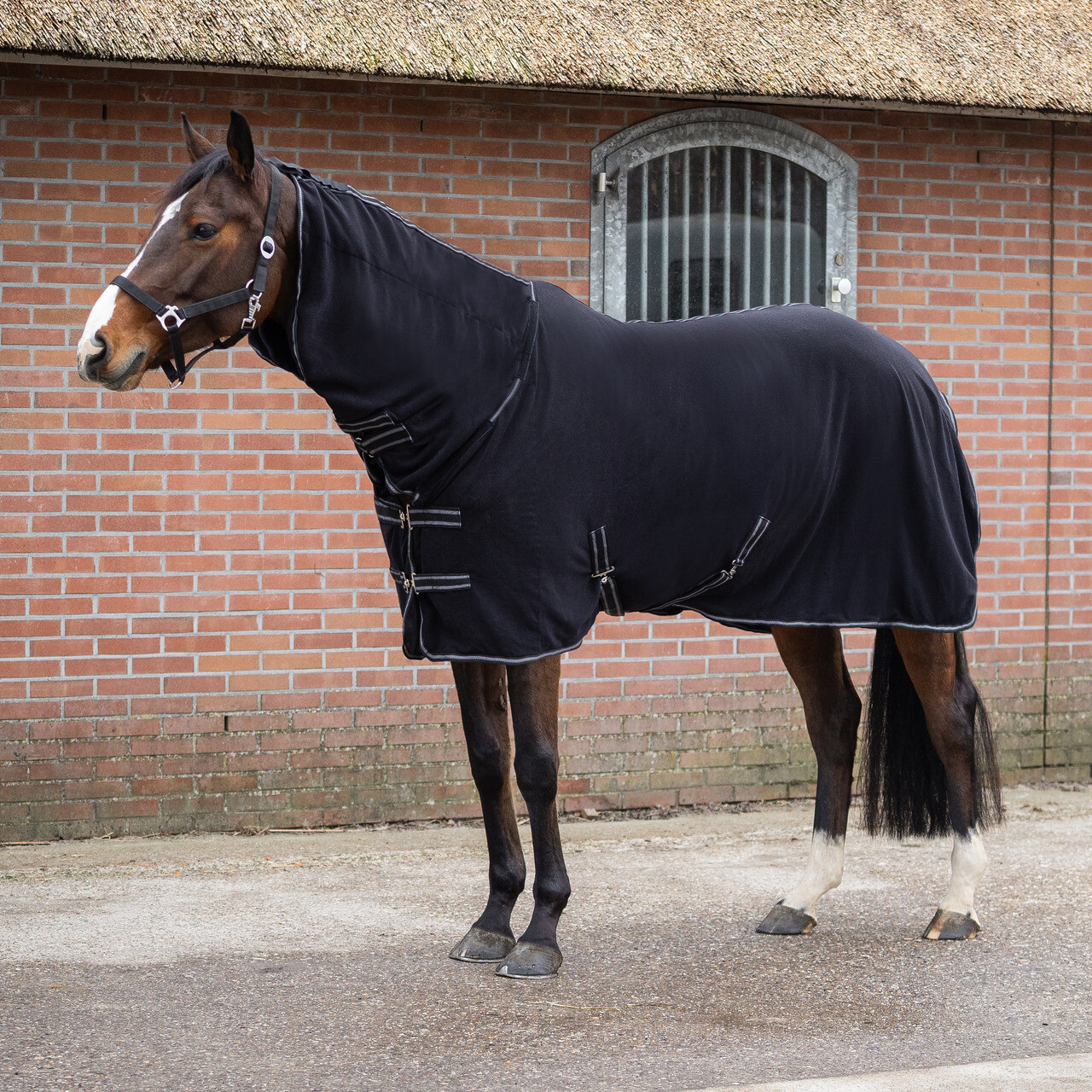 Fleece rug Terry-dry