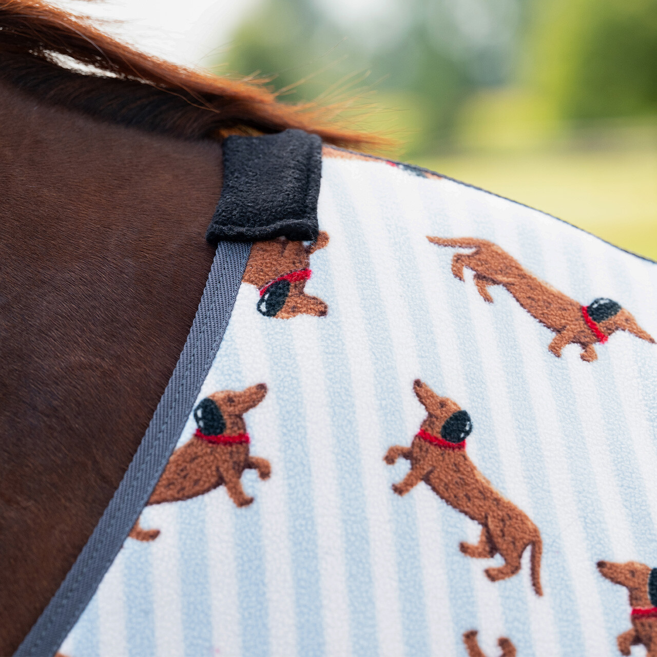 Fleecová deka Stable buddy jezevčík