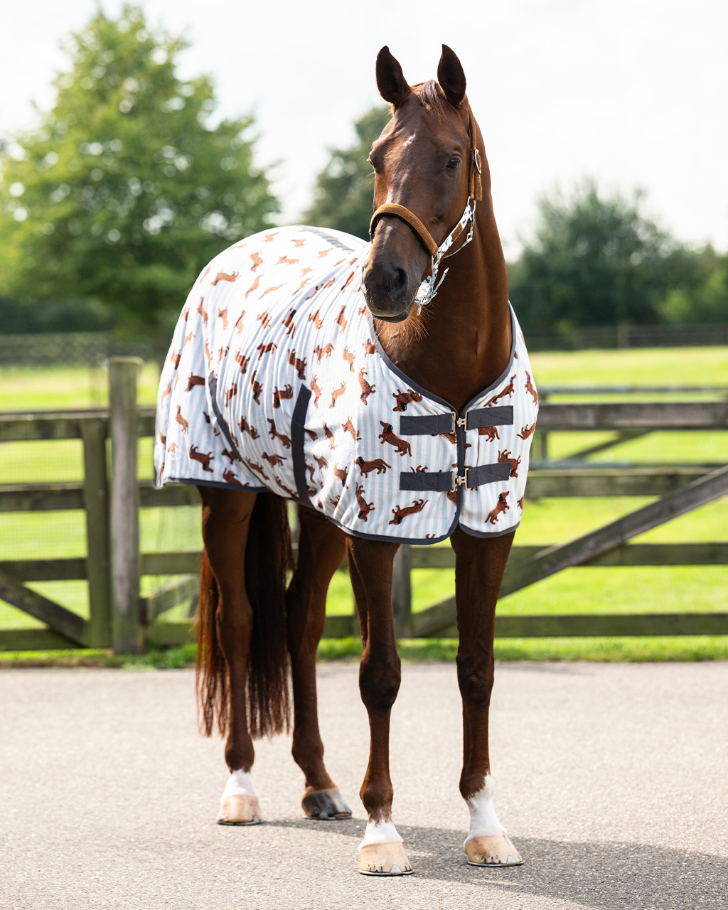 Fleece rug Stable buddy