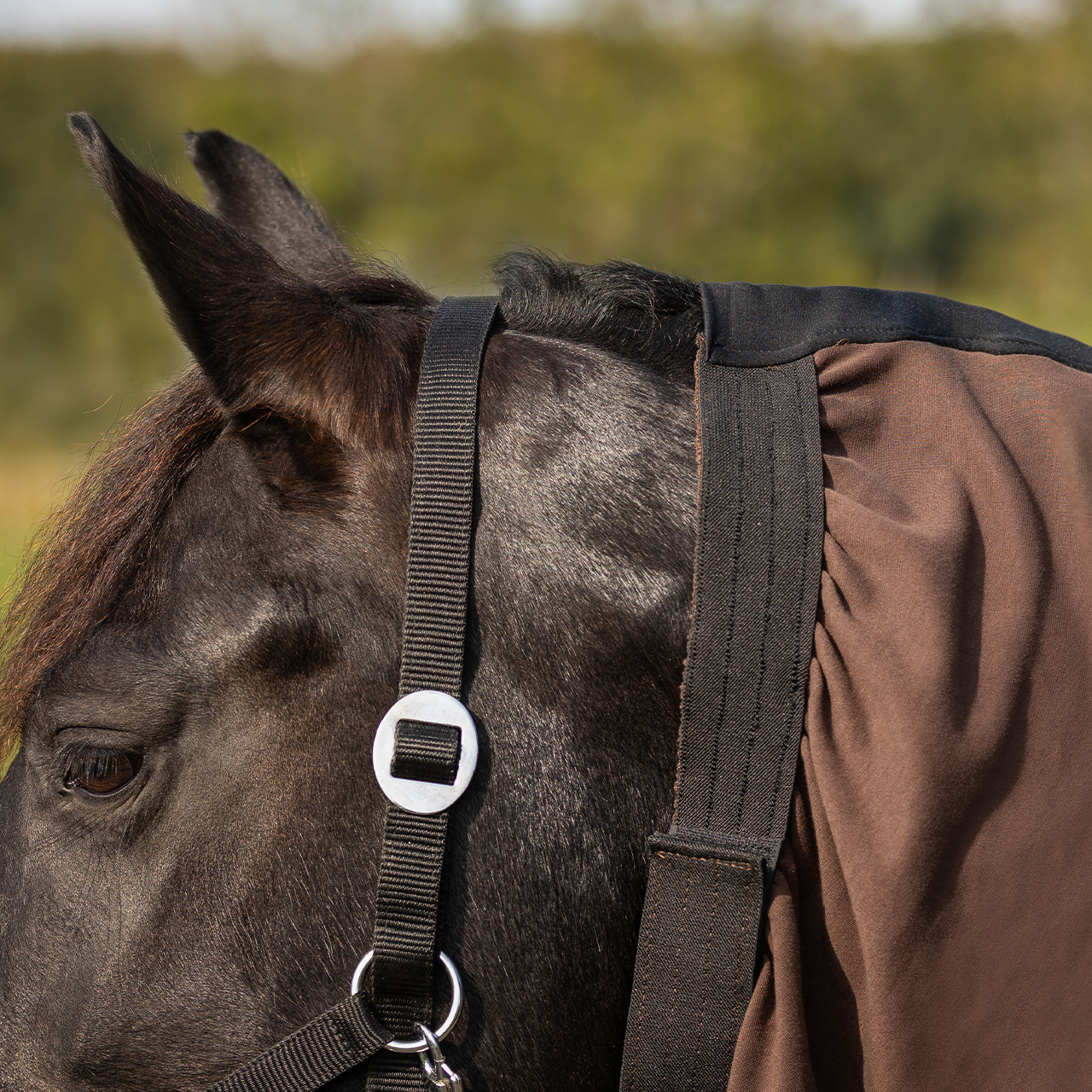 Eczema neck cover Big neck