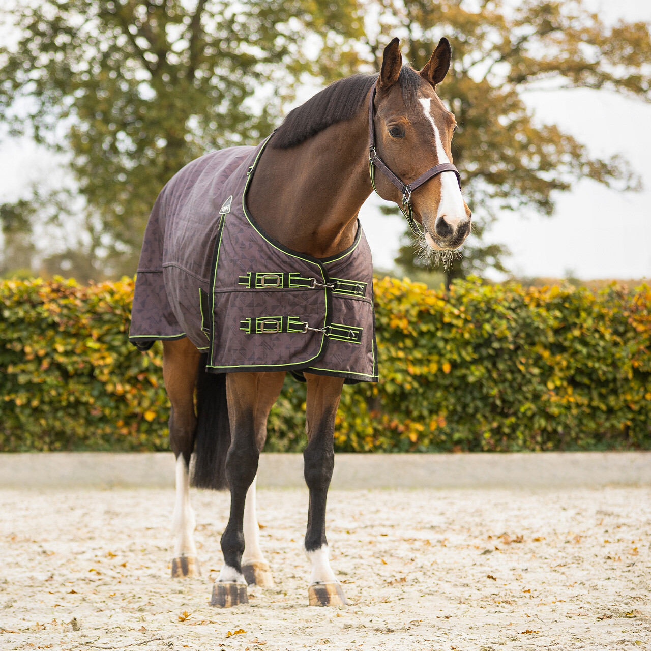 Turnout rug 1200D collection fleece lining
