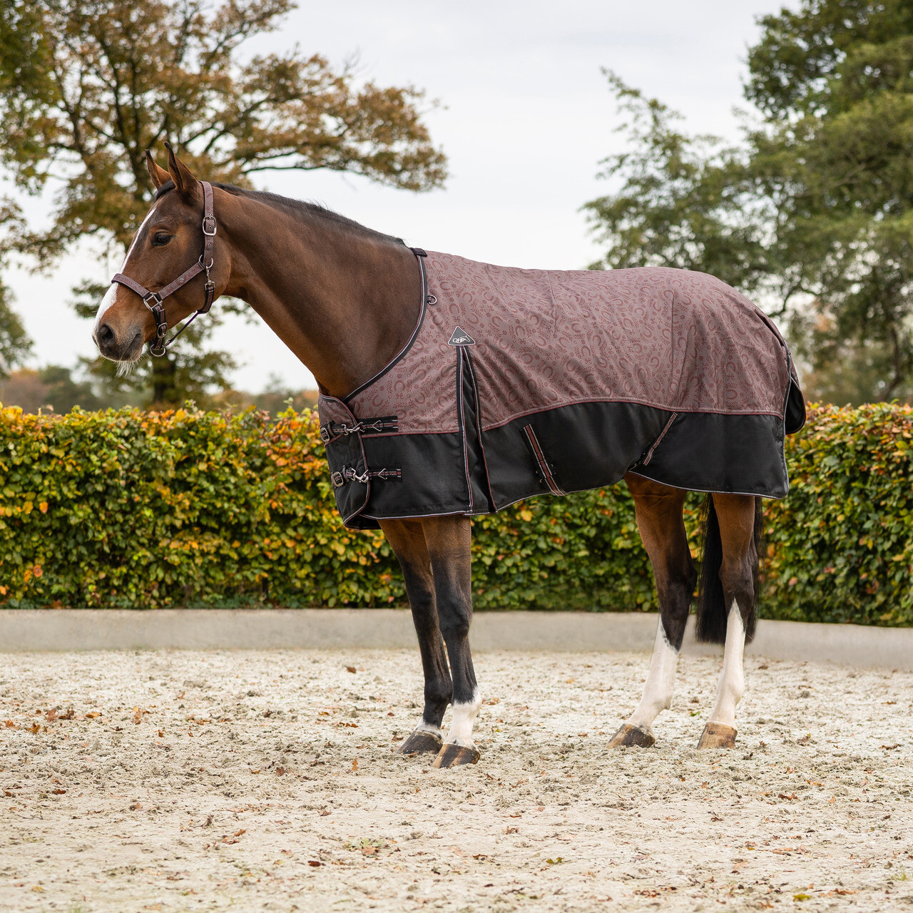 Turnout rug 1200D collection 50gr