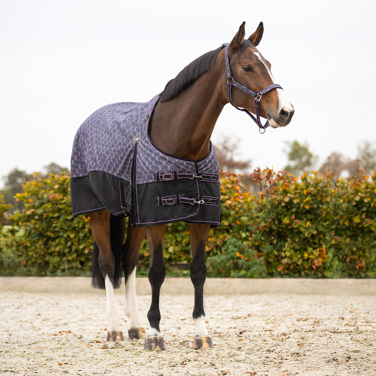 Turnout rug 1200D collection 150gr