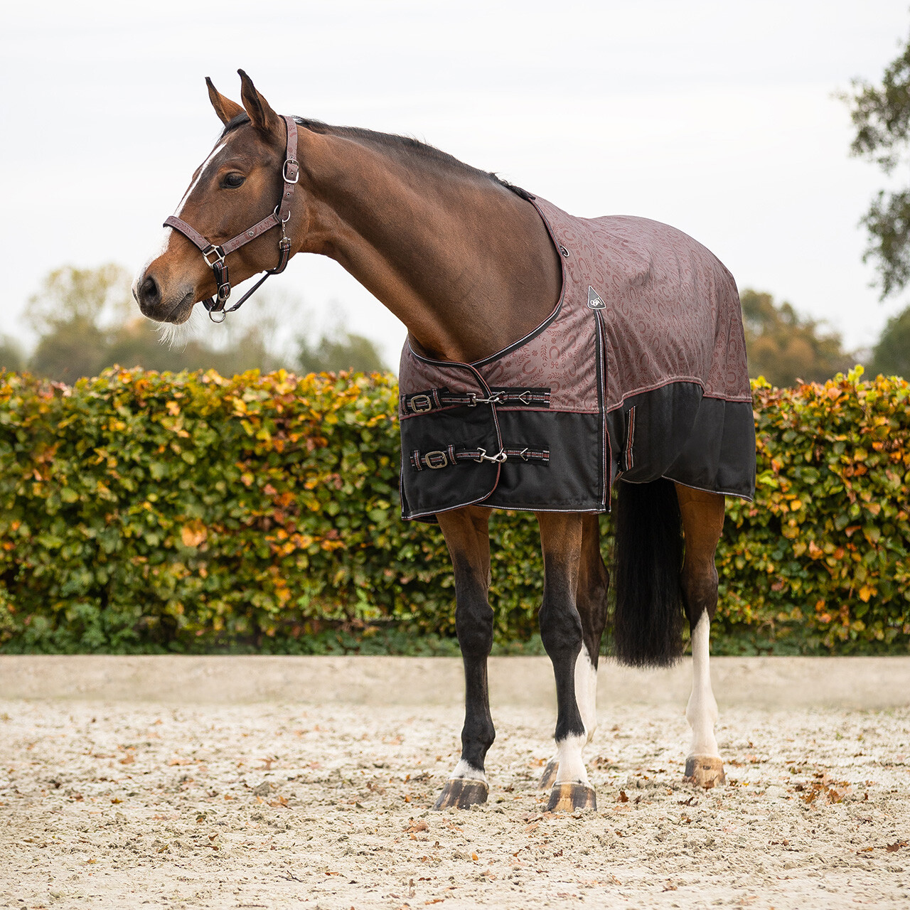 Turnout rug 1200D collection 150gr