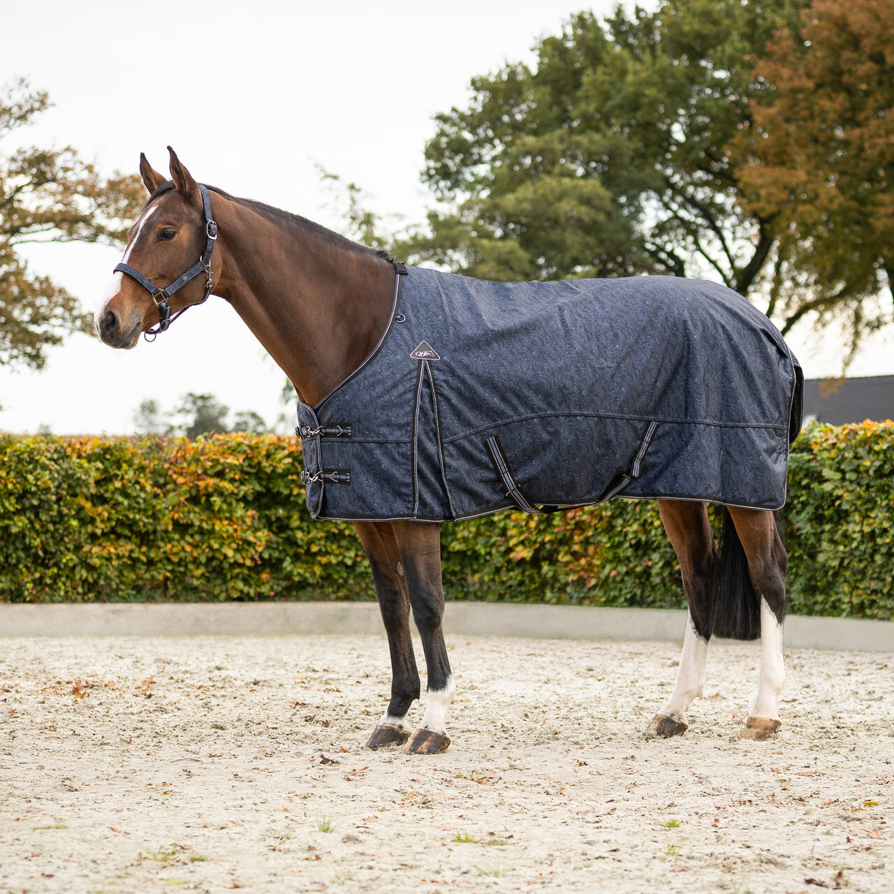 Turnout rug 1200D collection 250gr