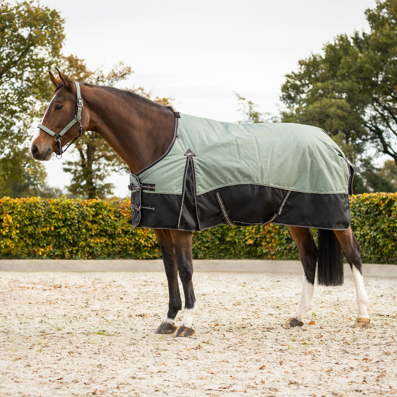 Turnout rug 1200D collection 250gr