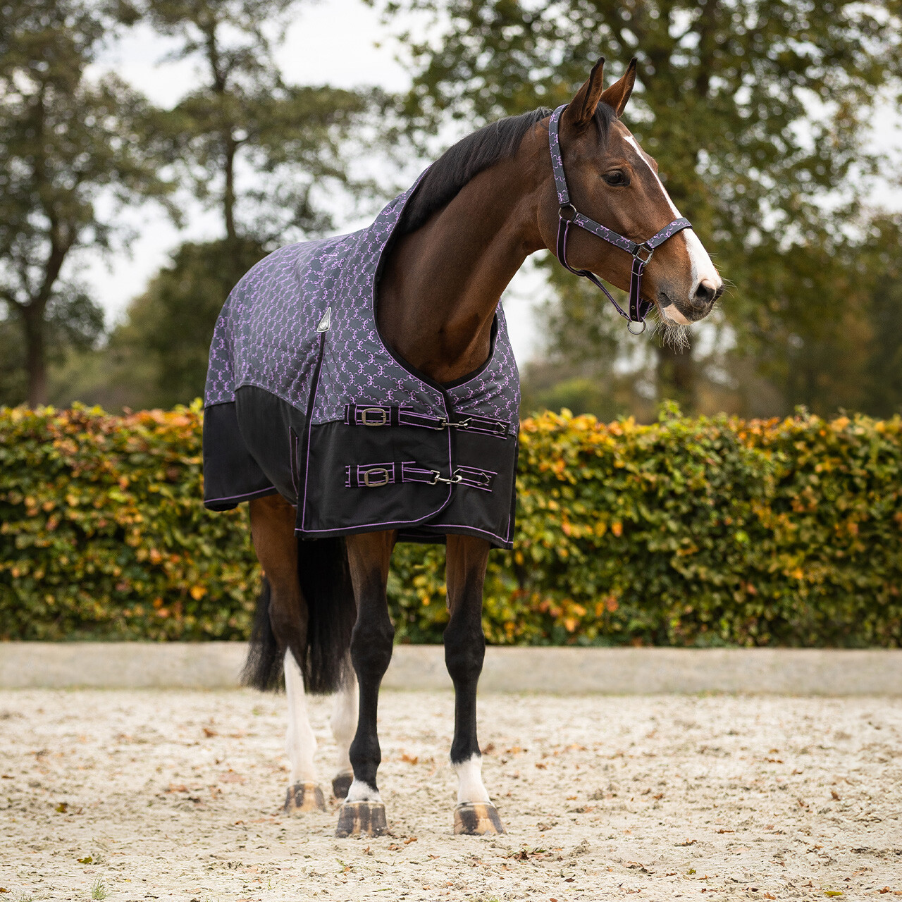 Turnout rug 1200D collection half neck 150gr