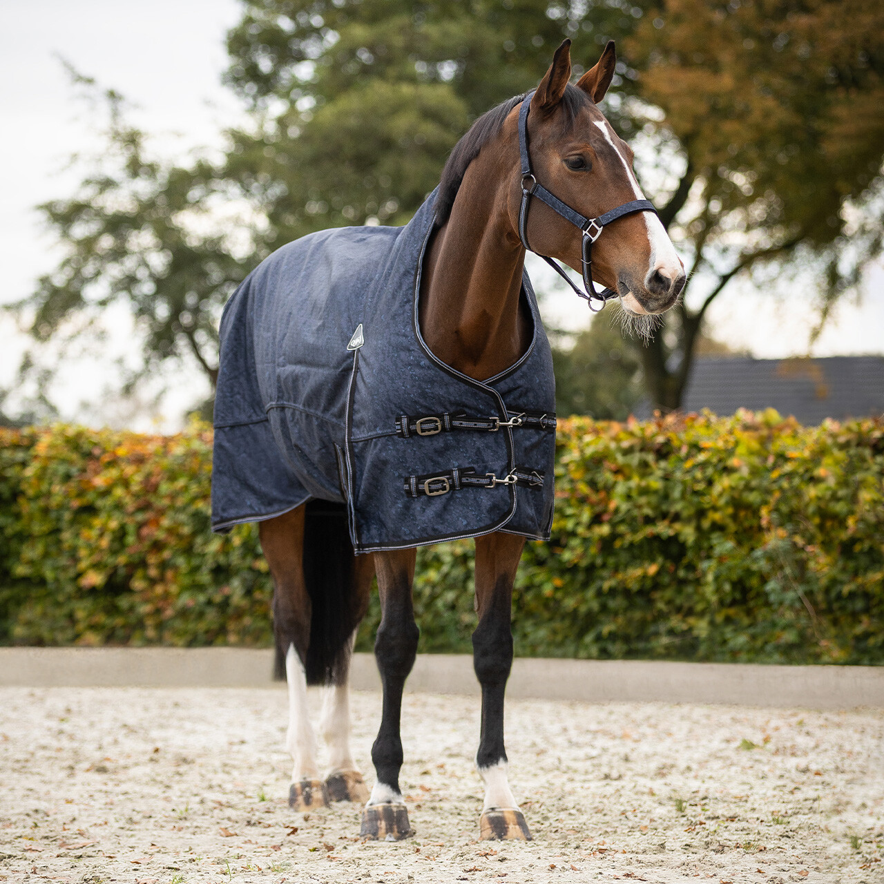 Turnout rug 1200D collection half neck 150gr