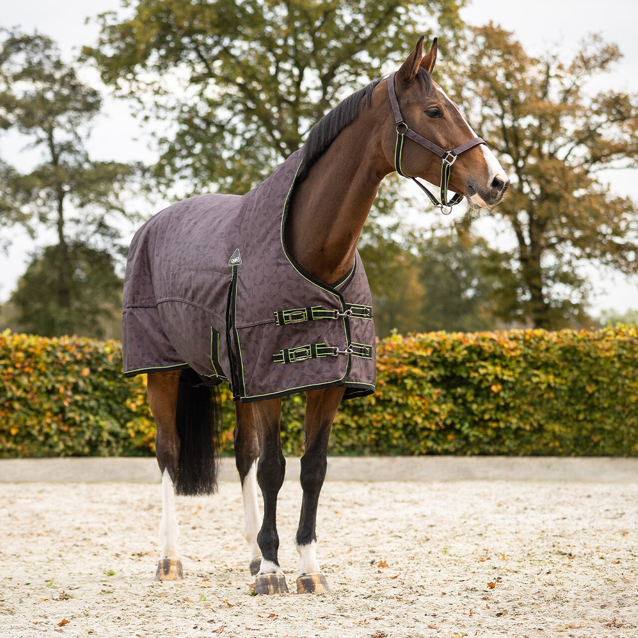 Turnout rug 1200D collection half neck 150gr