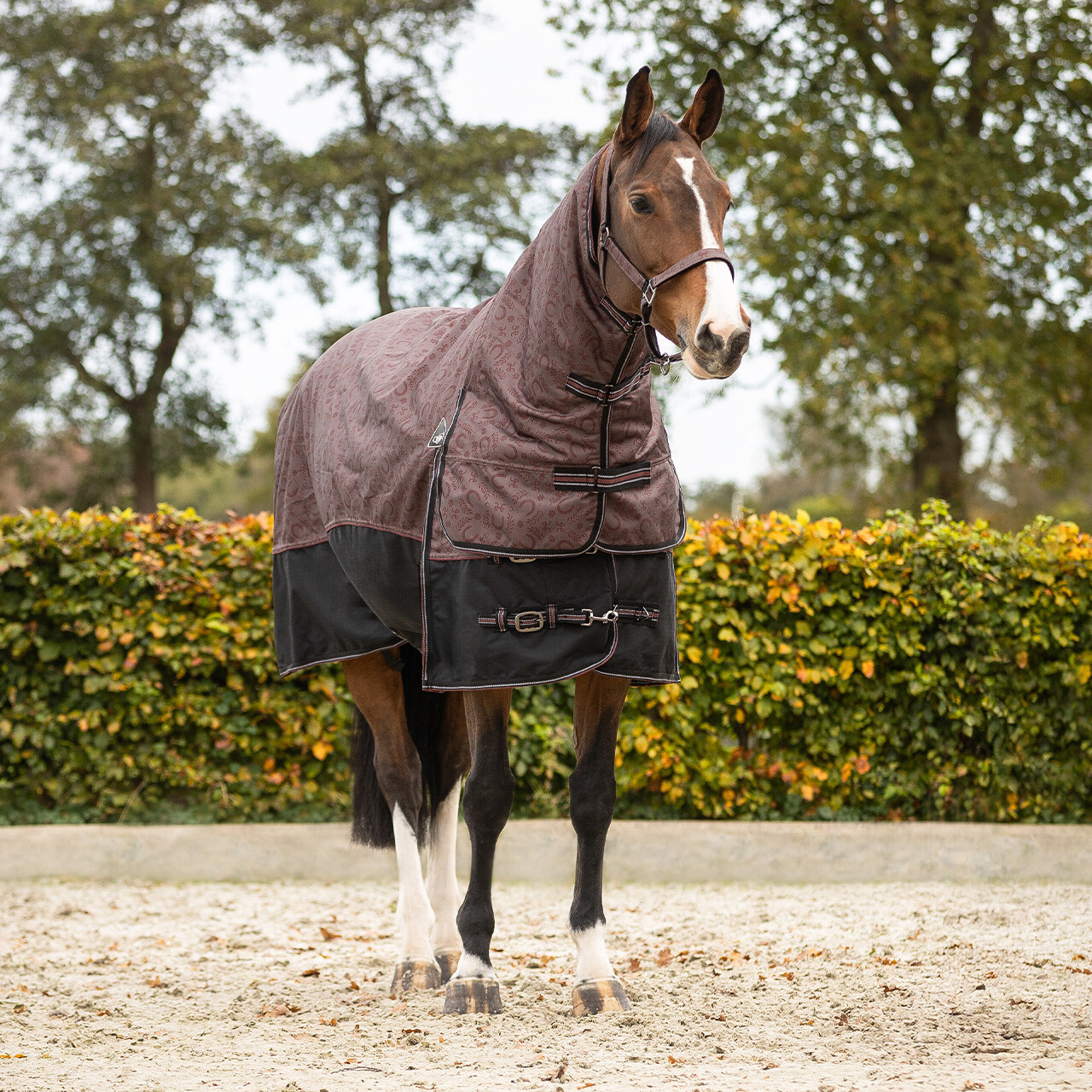 Turnout rug collection with neck 250gr