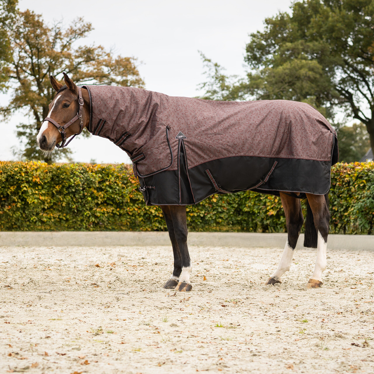 Turnout rug collection with neck 250gr