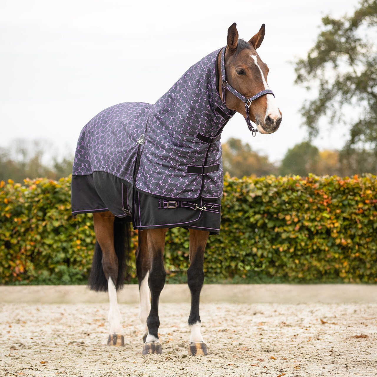 Turnout rug 1200D collection 150gr with detachable neck