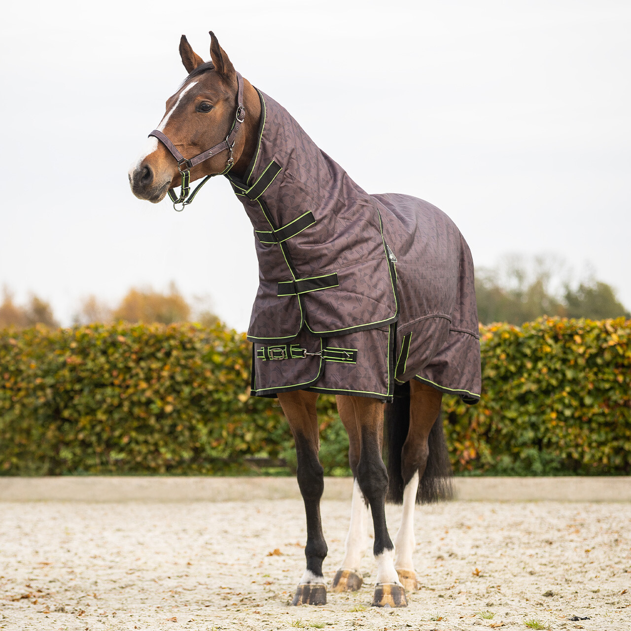 Turnout rug 1200D collection 150gr with detachable neck