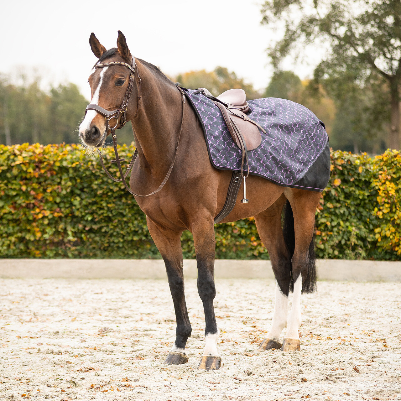 Exercise sheet 1200D turnout collection fleece