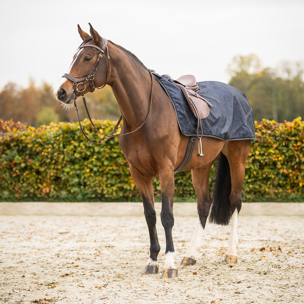 Exercise sheet 1200D turnout collection fleece