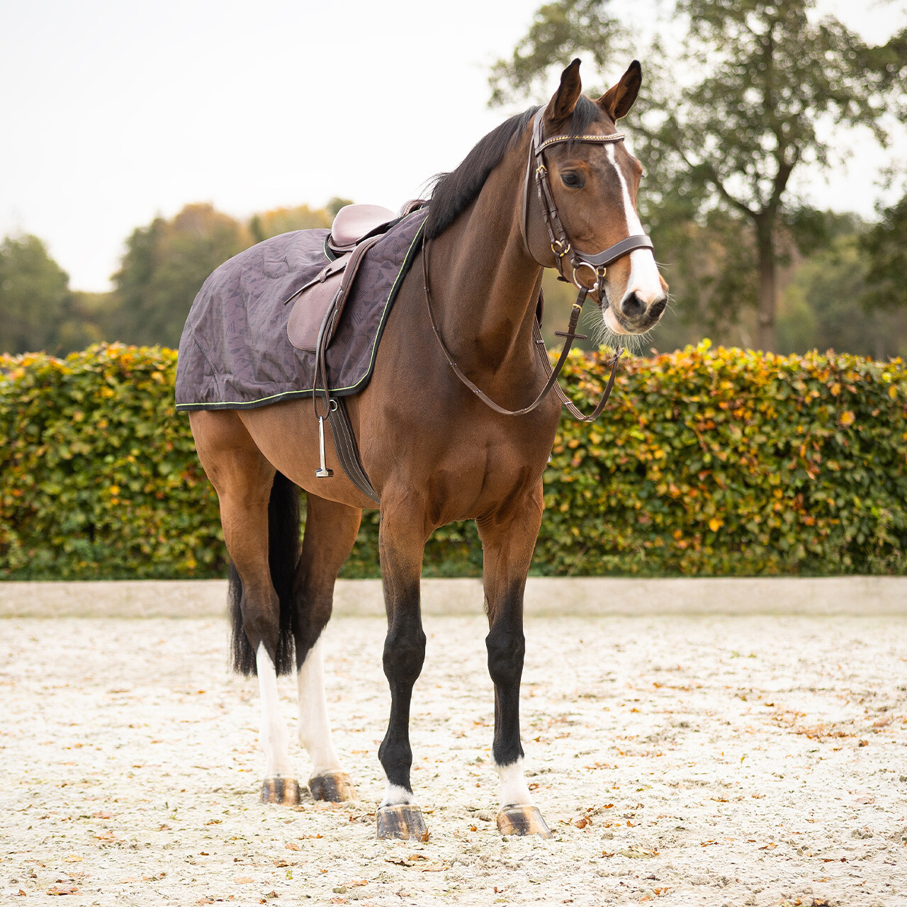 Exercise sheet 1200D turnout collection fleece