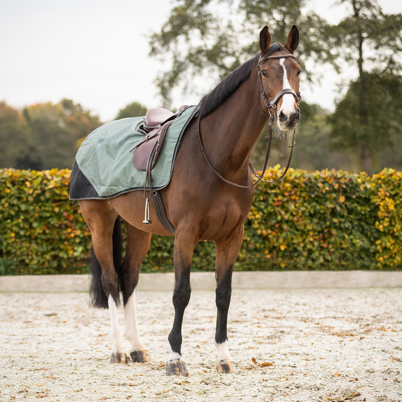 Exercise sheet 1200D turnout collection fleece