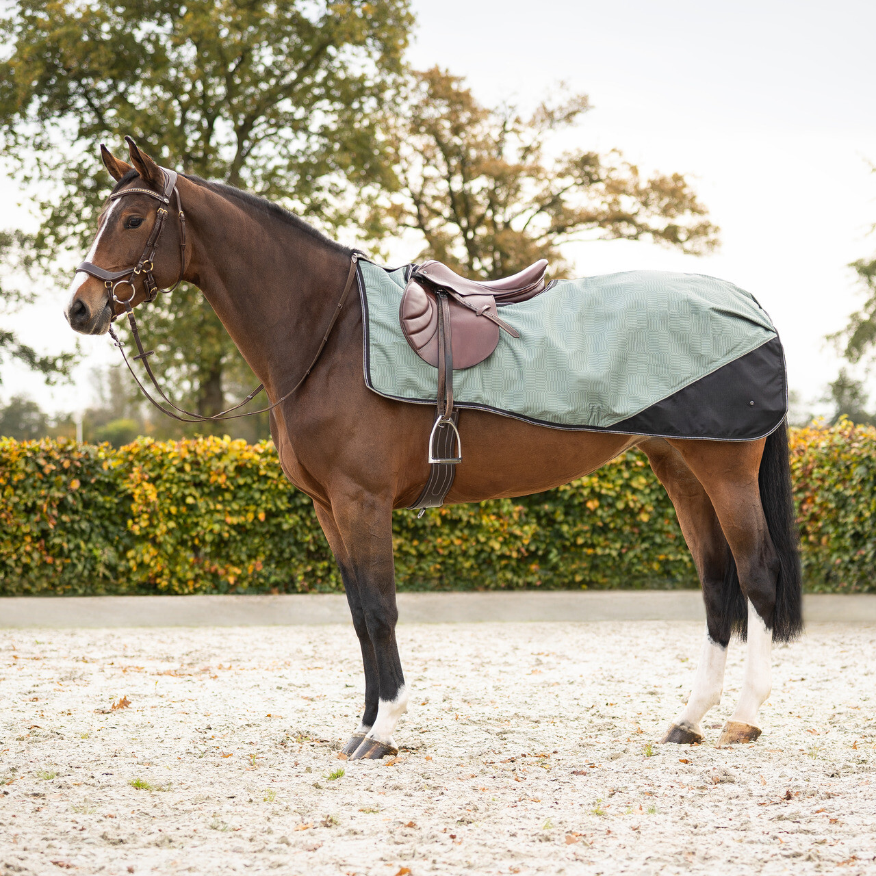 Exercise sheet 1200D turnout collection fleece